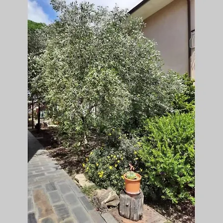 Apartment O Barba! Mare E Monti.... *